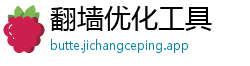 翻墙优化工具